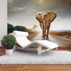 Фототапет Слон