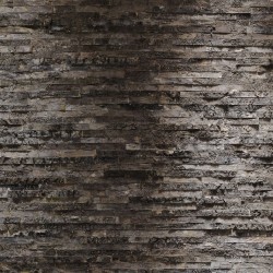 Фототапет BIRKENRINDE