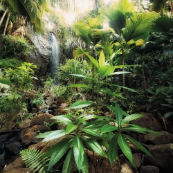 Фототапет SPIRIT