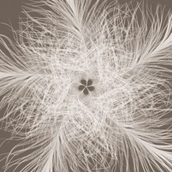 Фототапет FEDERSTERN