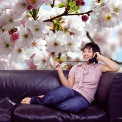 Фототапет SPRING