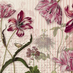 Фототапет MERIAN