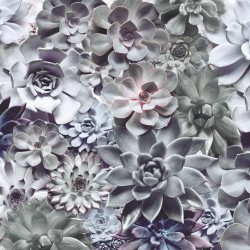 Фототапет SHADES