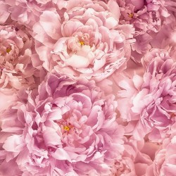 Фототапет SOAVE