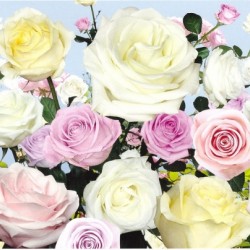 Фототапет Prestige 15