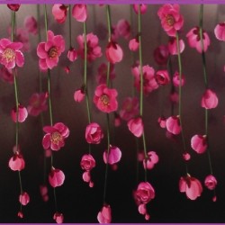 Фототапет Prestige 19