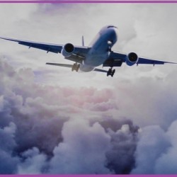 Фототапет Prestige 23