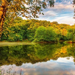 Фототапет Prestige 24