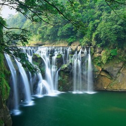 Фототапет Prestige 32