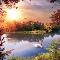 Фототапет Prestige 35