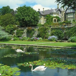 Фототапет Prestige 41