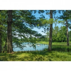 Фототапет Prestige 44