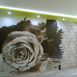 Фототапет Черно/бяла роза