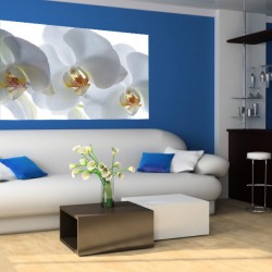 Фототапет бяла орхидея