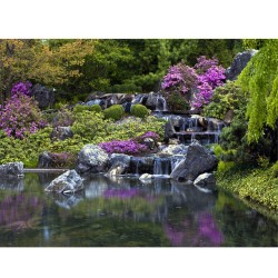 Фототапет Езеро