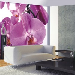 Фототапет Орхирея