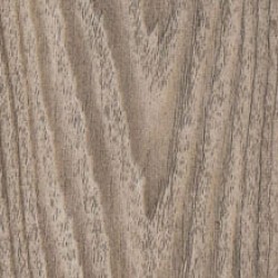 Самозалепващо фолио ДЪРВО ДЪБ НАТУР