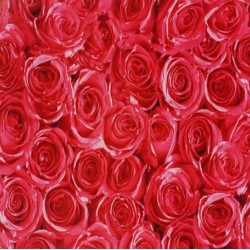 Самозалепващо фолио Рози