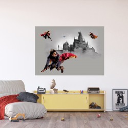 Фототапет Дисни Премиум Хари Потър куидич 155х110 см