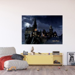 Фототапет Дисни Премиум Хари Потър Хогуортс 155х110 см