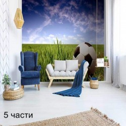 фототапет soccer ball