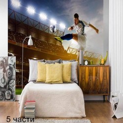 фототапет soccer player