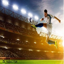 фототапет soccer player