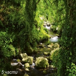 фототапет stream