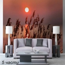 фототапет reed on the lake