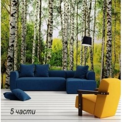 фототапет birch forest