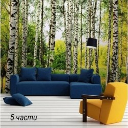 фототапет birch forest