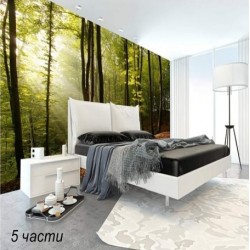 фототапет forest