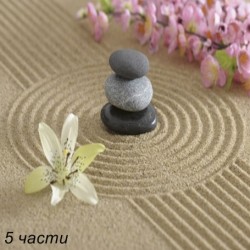 фототапет zen garden