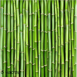 фототапет bamboo