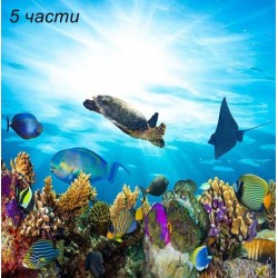 фототапет  fish фототапет  fish