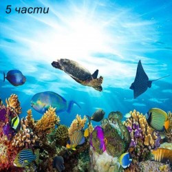 фототапет  fish фототапет  fish