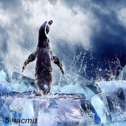 фототапет punguin