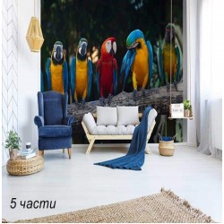 Фототапет colourful macaw Фототапет colourful macaw