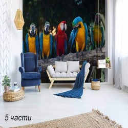 Фототапет colourful macaw
