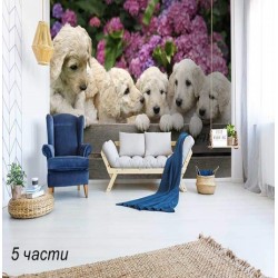 фототапет labrador puppies