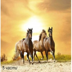 фототапет horses in sunset фототапет horses in sunset
