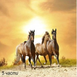 фототапет horses in sunset