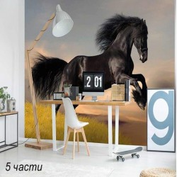 фототапет horse