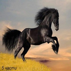фототапет horse