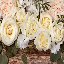 Фототапет Prestige 78