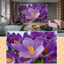 Фототапет Prestige 80