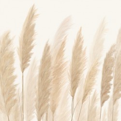 Фототапет Стандарт Флис Пампаски треви