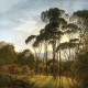 Фототапет Стандарт Флис Гора пинии