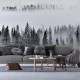 Фототапет Премиум Мъглива борова гора