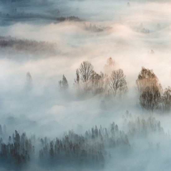 Фототапет Премиум Мъгливо утро